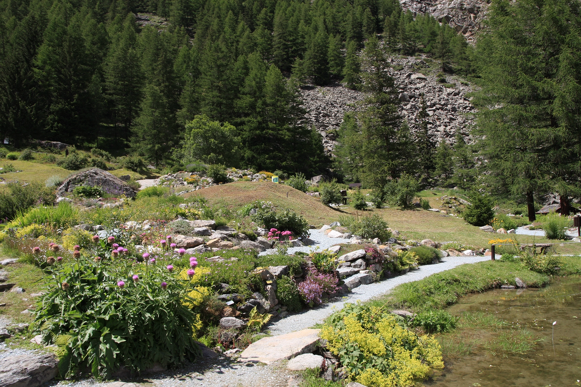 Vista d'insieme di Paradisia